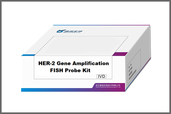 HER-2 gene Amplification FISH probe Kit